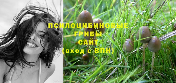метамфетамин Елизово