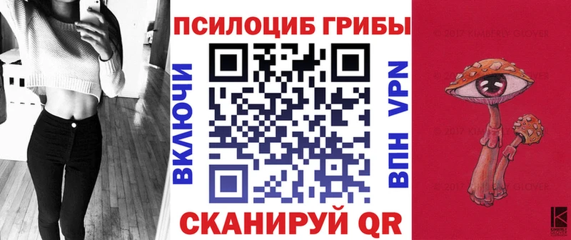 Купить закладки  Лаишево  Псилоцибиновые грибы Psilocybine cubensis 