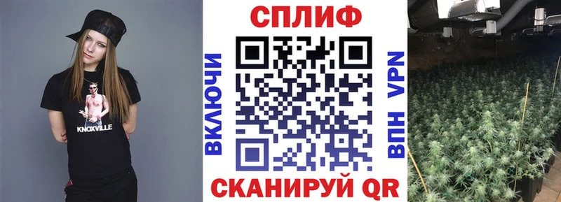 Шишки марихуана Bruce Banner Лаишево