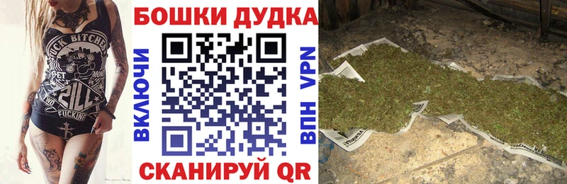 Конопля сатива  Купить  Лаишево 